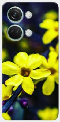 Oneplus Nord 3 5G cover - printed