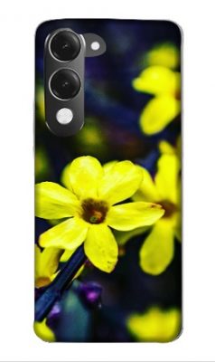 Iqoo Z10 Lite 5G cover - printed
